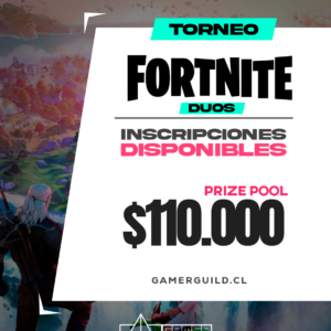 Fortnite duos
